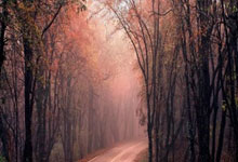 2025乐鱼体育在线入口巴塞罗那大将梅西有望在下场比赛中再度复出，球迷期待其重返赛场的表现