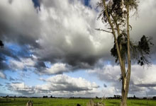 2025乐鱼体育在线入口巴塞罗那大将梅西有望在下场比赛中再度复出，球迷期待其重返赛场的表现