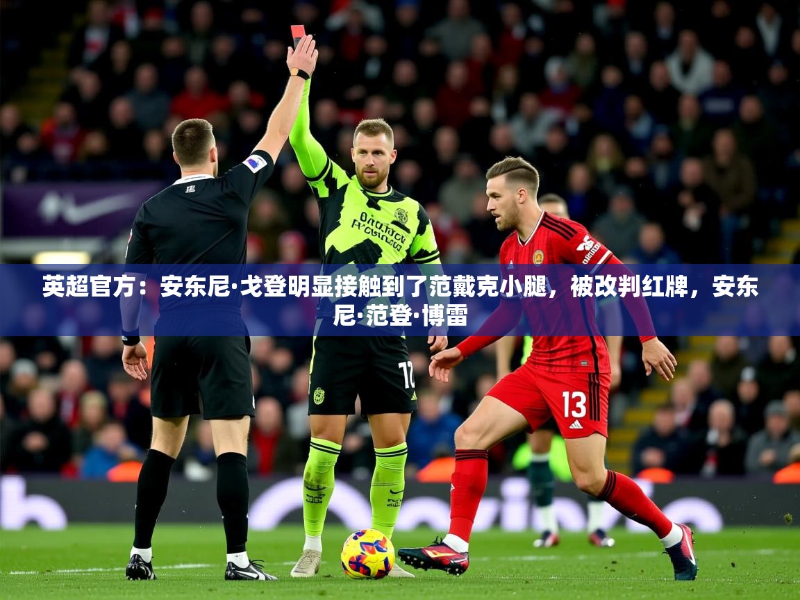 2025乐鱼体育入口登录官网app英超官方：安东尼·戈登明显接触到了范戴克小腿，被改判红牌，安东尼·范登·博雷