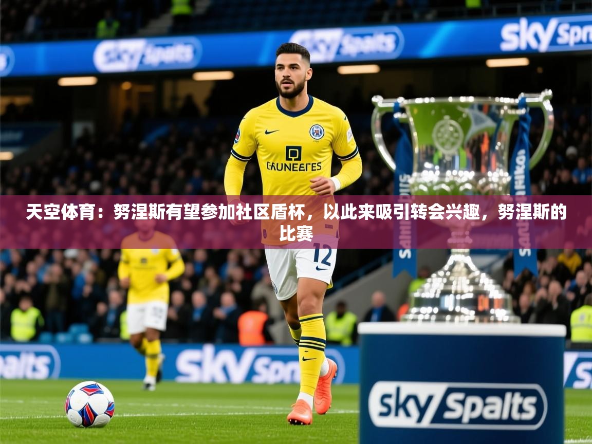 2025乐鱼体育官网在线登录入口天空体育：努涅斯有望参加社区盾杯，以此来吸引转会兴趣，努涅斯的比赛  第1张