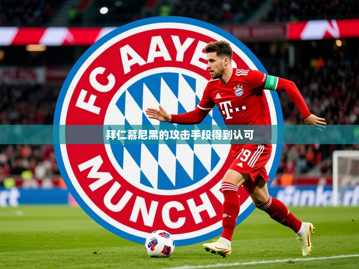 2026乐鱼体育在线官网拜仁慕尼黑的攻击手段得到认可